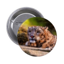 Lounging Leopard Pinback Buttons