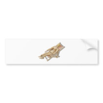 LoungingBeachChair081510 Bumper Sticker