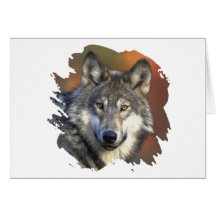 Loup gris cartes de vœux