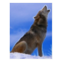 Loup gris mis en danger par hurlement isolé carte postale