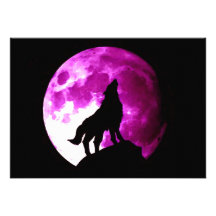 Loup hurlant à l'invitation de lune