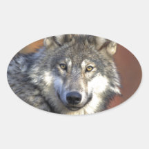 Loups Adhésif