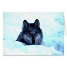Loups de loup de neige cartes de vœux