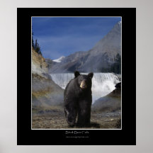L'OURS NOIR TOMBE affiche de photo