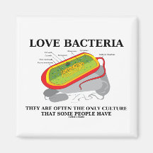 Love Bacteria Only Culture Some People Have Magnets