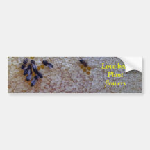 Love Bees, Plant Flower Bumper Stickers