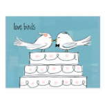 Love Birds Post Card