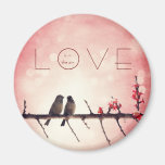 Love birds story fridge magnets