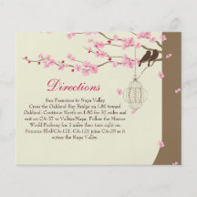 Love Birds Vintage Cage Cherry Blossom Directions Flyer