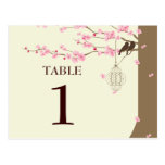 Love Birds Vintage Cage Cherry Blossom Table # Postcards