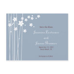 Love Birds with Cherry Blossoms Post Cards