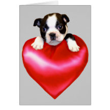 Love Boston Terrier greeting card