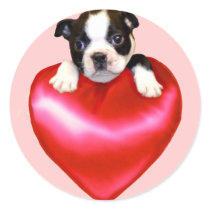 Love Boston Terrier stickers