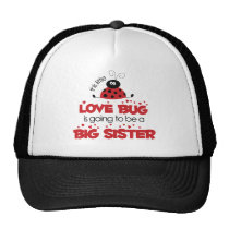 Love Bug Big Sister T-shirt hats