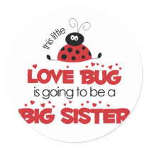 Love Bug Big Sister T-shirt stickers