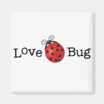 Love Bug - Ladybug Magnet