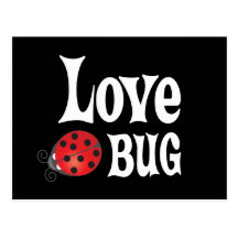 Love Bug - Ladybug Post Card