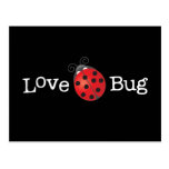 Love Bug - Ladybug Postcard