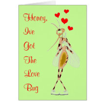 Love Bug Valentine Card