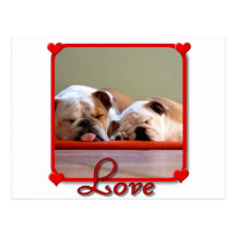 Love Bulldogs postcard
