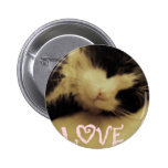 Love Cat Pinback Button