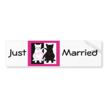 Love Cats Bumper Stickers