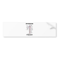Love Circulation It's Key To Life Bumper Stickers