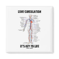 Love Circulation It's Key To Life Magnets
