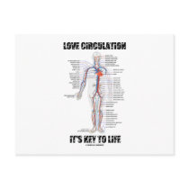 Love Circulation It's Key To Life Post Cards