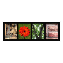 Love Creative Elements Letter Photography Print