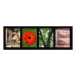 Love Creative Elements Letter Photography Print photography