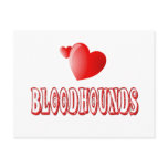 Love for Bloodhounds Postcard