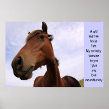 Love from a Wild Horse Poster