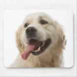 Love Golden Retriever Puppy Dog Portrait  Mousepad