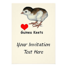 Love Guinea Keets Invitations