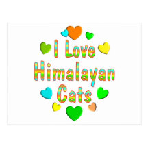 Love Himalayan Cats Postcard