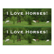 Love Horses! Bookmarkers - Customize! Post Card