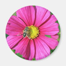 love in a mist flower magnet