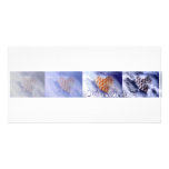 Love in the Cold Personalized Photo Card