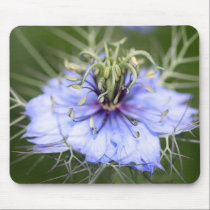 Love in the Mist flower Mousepad mousepads