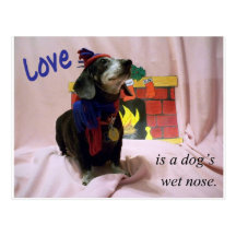 Love is a dog's wet nose post card
