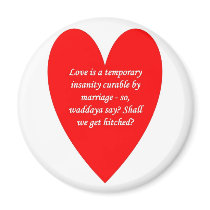 love-is-a-temporary-insanity-curable-by-01 magnet