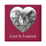LOVE IS FOREVER: HORSES IN PENCIL: HEART, ART REFRIGERATOR MAGNET