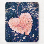 Love is Fragile Photography Mousepad
