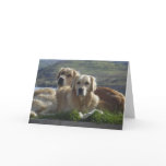 Love is Golden Greeting Card