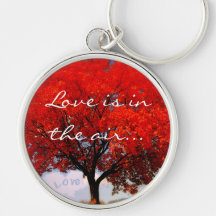 Love is in the air... keychain