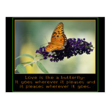 LOVE IS LIKE A BUTTERFLY POSTCARD