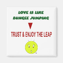 Love Is Like Bungee Jumping - Magnets