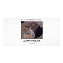 Love Is Like Petrified Wood ...Preserved Over Time Personalized Photo Card