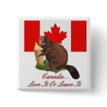 Love It or Leave It Pins